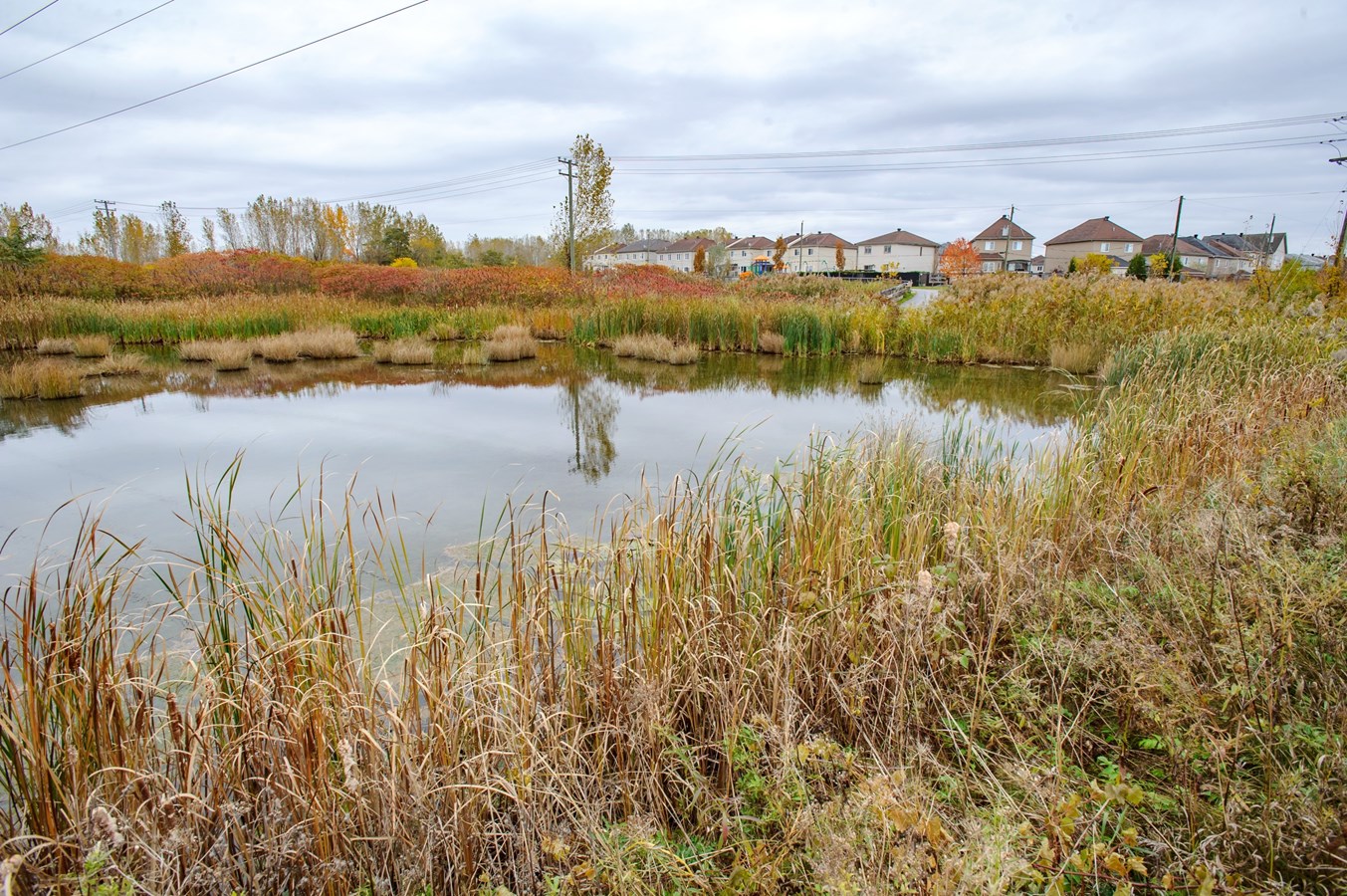 Ce règlement vient ajouter une protection additionnelle sur 1 062 hectares de milieux humides de grande valeur, soit environ 67 % de la superficie des milieux humides connus à Laval. 