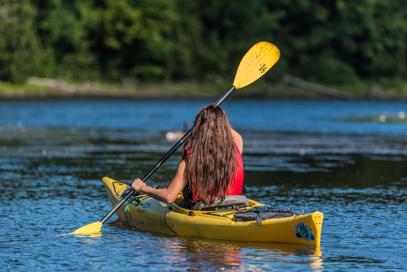 Cet été, le parc de la Rivière-des-Milles offre également des cours d’initiation de kayak (simple ou double) et planche à pagaie.