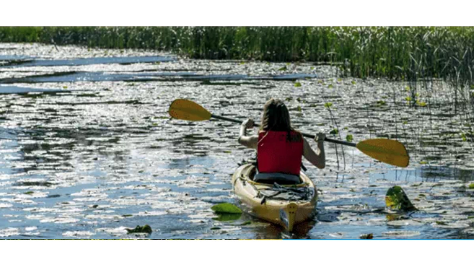 Projet de développement de l’île Gagnon : incompatible avec la mission de conservation et de protection du Parc de la Rivière-des-Milles-Îles