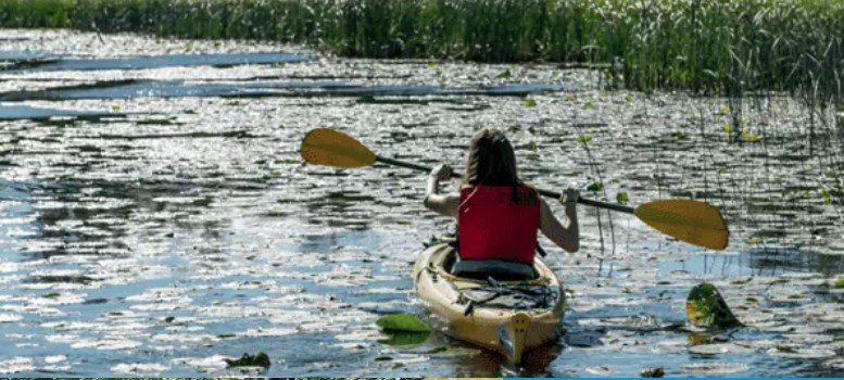 Île gagnon, place Ste-Rose: une manifestation prévue dès 10h sur l'eau des Mille-Îles