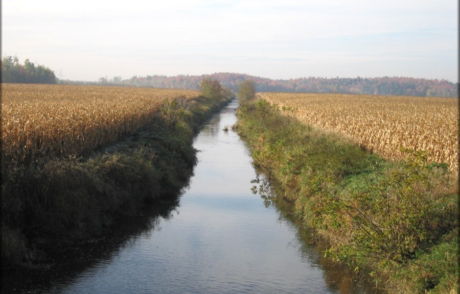 Pesticides dans les cours d'eau: des résultats encourageants, estime l'UPA