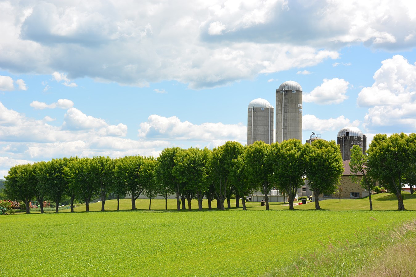 L’agroforesterie, une technique agricole alternative et écologique