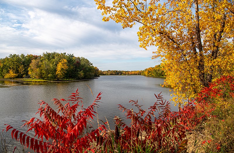 Admirer les couleurs d'automne à Laval