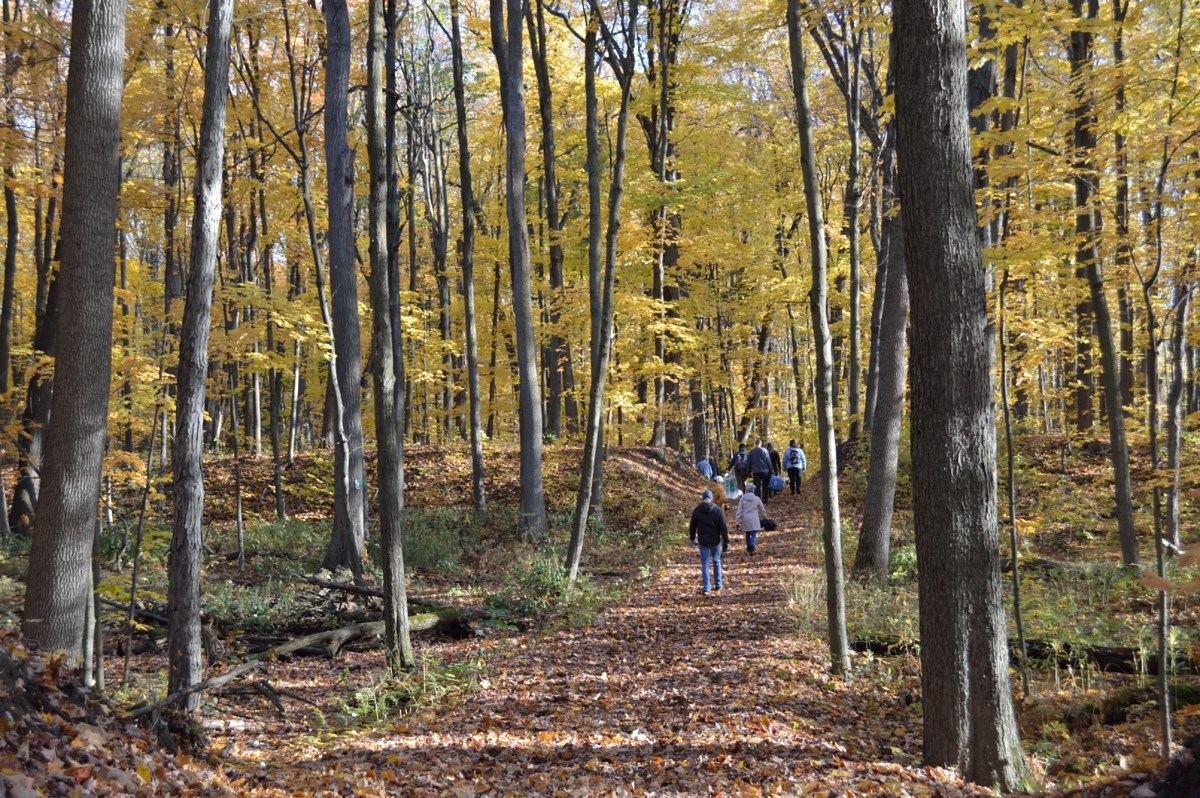 Un nouveau sentier accessible ami des aînés au bois de l’Équerre à Laval