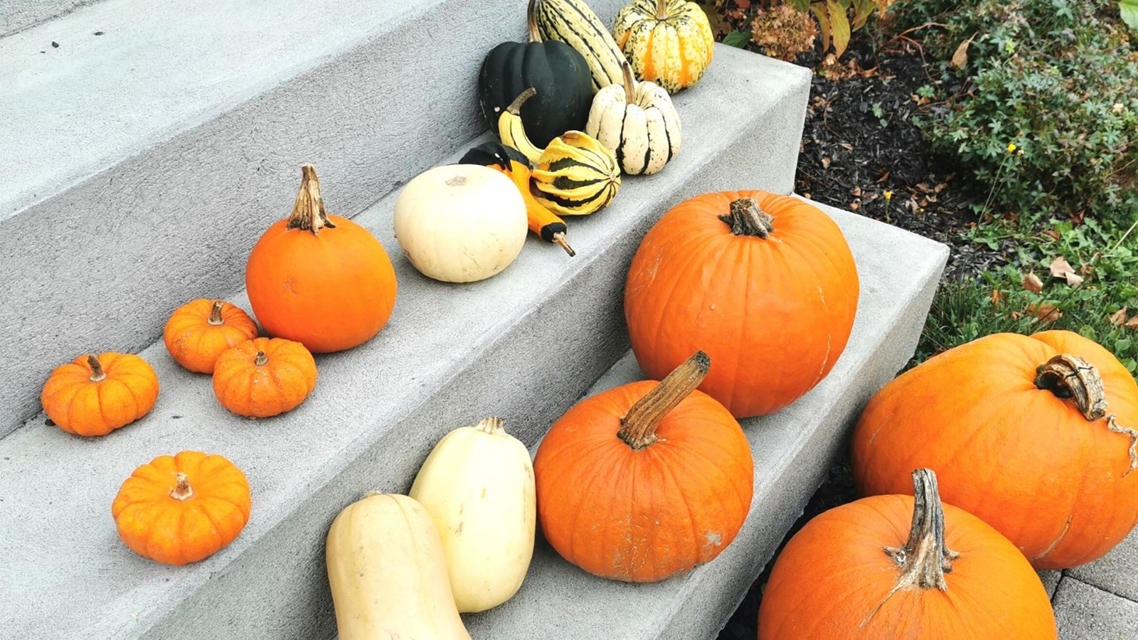 C'est l'Halloween aujourd'hui!
