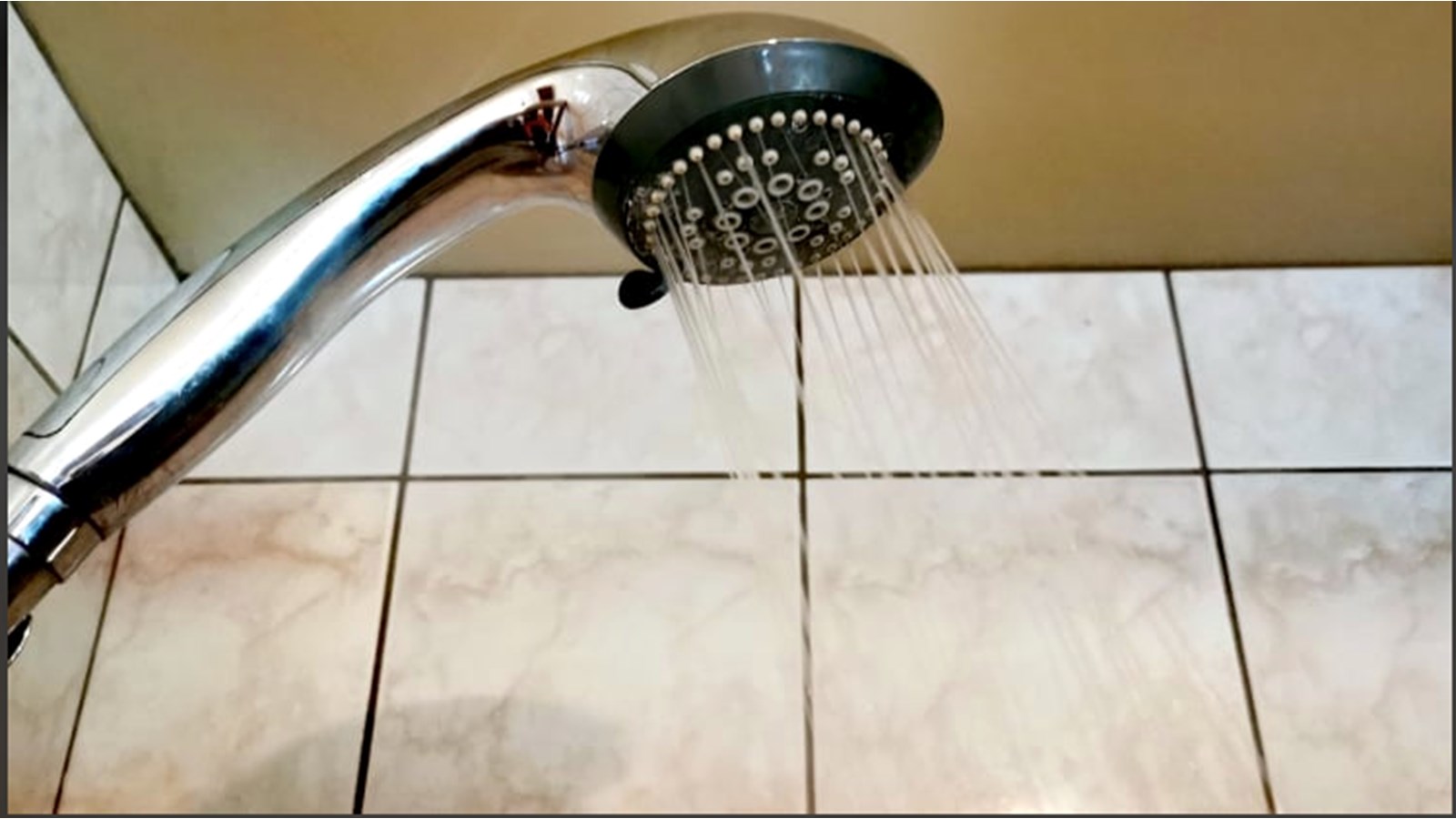 Prendre une douche ou un bain frais aussi souvent que nécessaire est l'un des moyens qui peut nous aider à atténuer les effets de la canicule