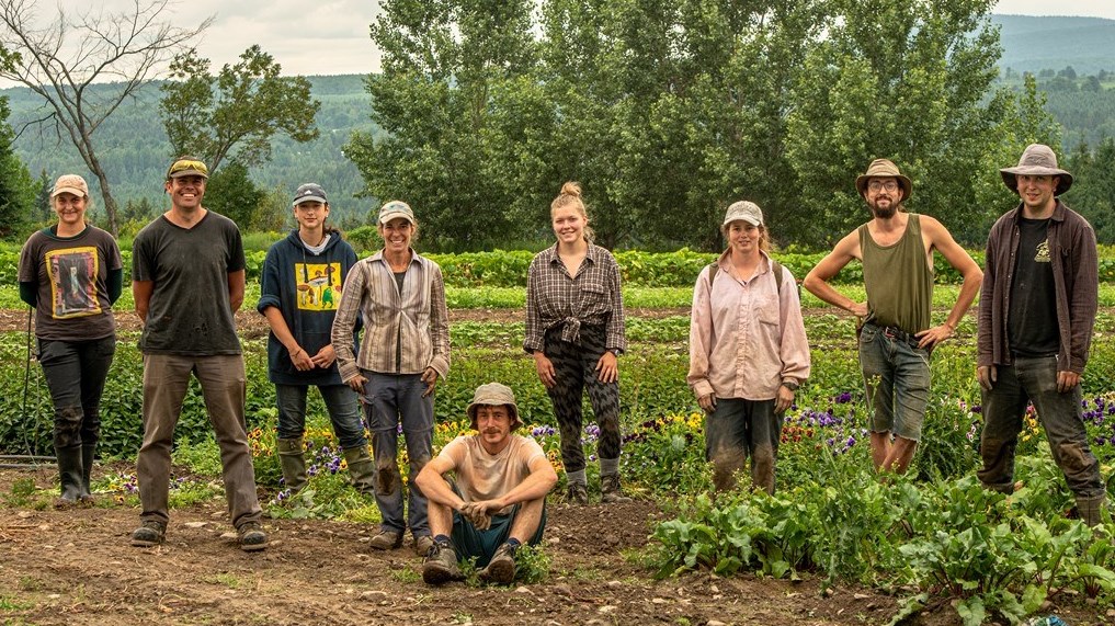 Plus de 150 producteurs vous offrent 500 000 paniers de légumes biologiques et locaux !