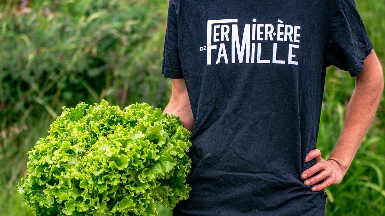 Plus de 150 producteurs vous offrent 500 000 paniers de légumes biologiques et locaux !