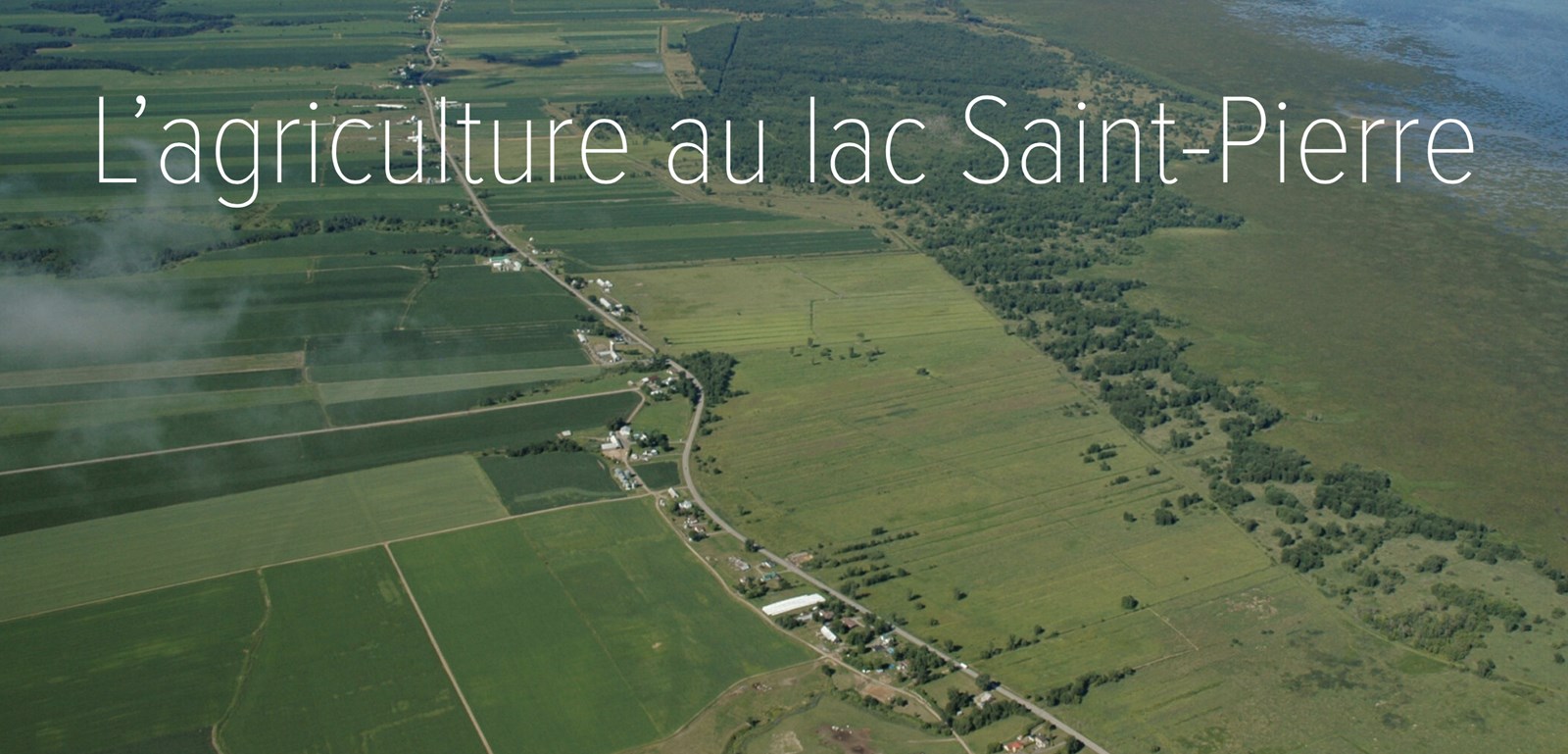 La cohabitation agriculture-faune en zone littorale du lac Saint-Pierre, en  voie vers une réussite!