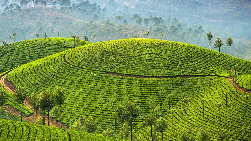 Découvrez une île aux trésors : le Sri Lanka, au cinéma RGFM Joliette