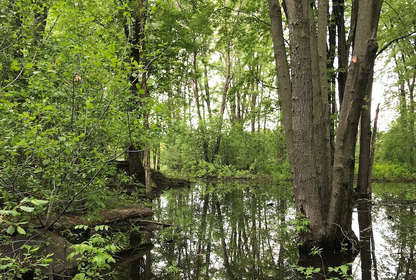 La Ville de Laval est officiellement propriétaire de l’île Locas