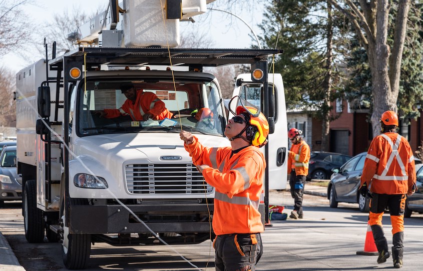 La Ville de Laval est aux petits soins avec ses 120 000 arbres