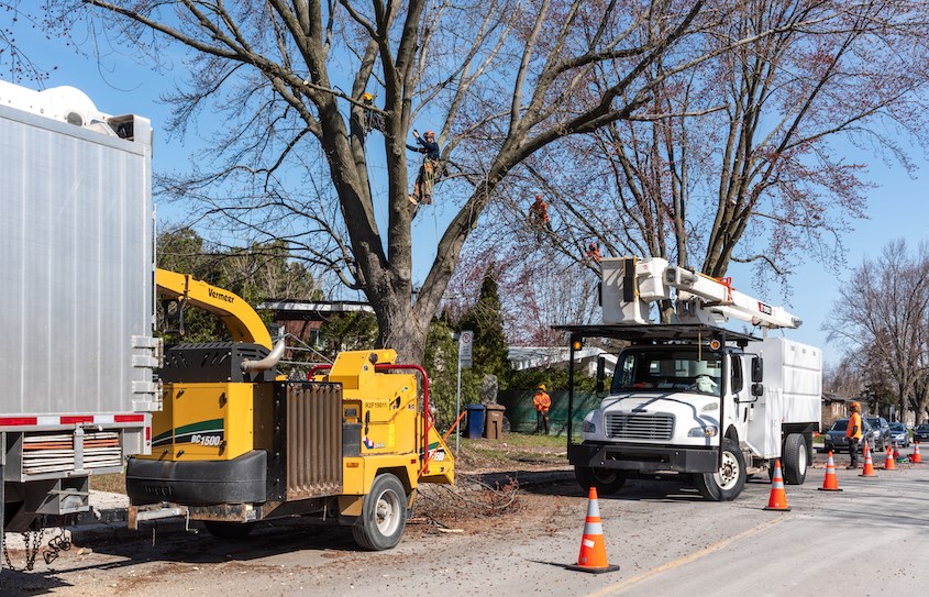 La Ville de Laval est aux petits soins avec ses 120 000 arbres