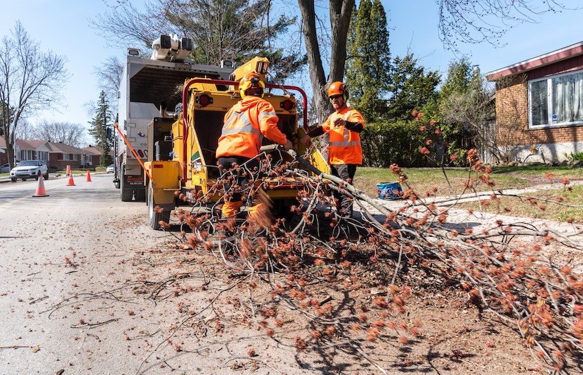 La Ville de Laval est aux petits soins avec ses 120 000 arbres