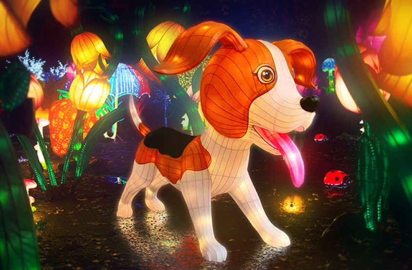 Illumi poursuit son aventure tout en lumière du 22 juin au 6 août