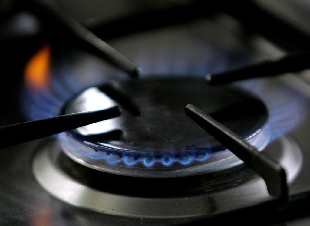 Cuisinière au gaz et asthme infantile: les recherches sont contradictoires