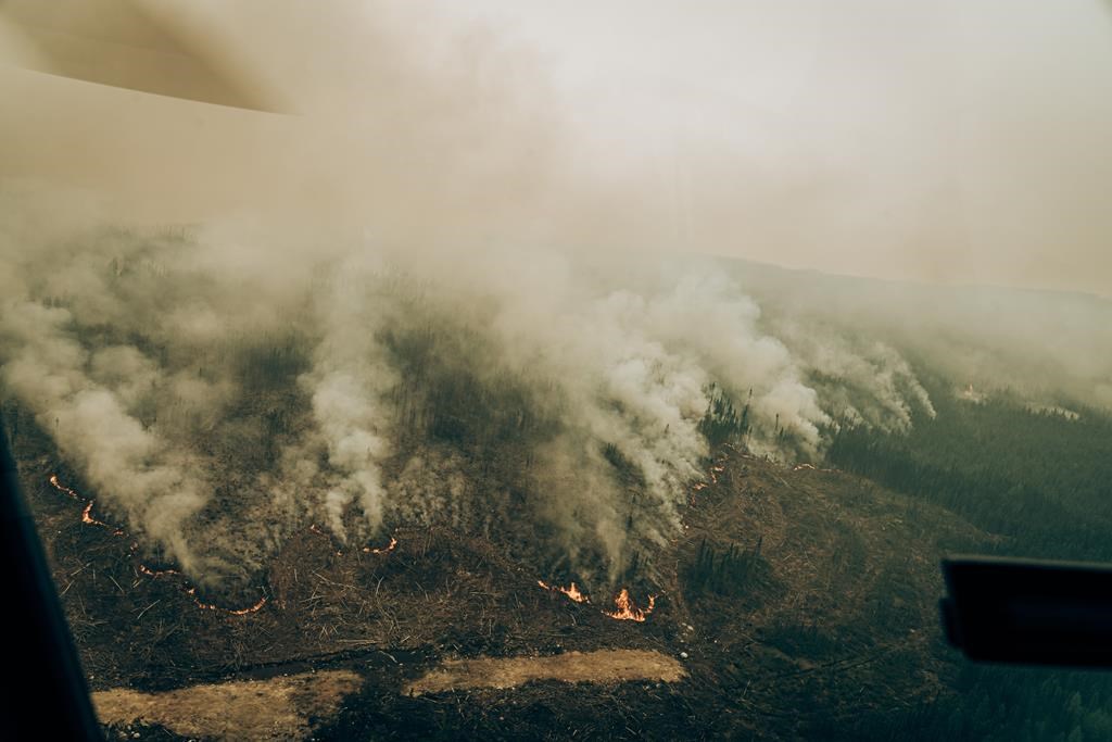 La SOPFEU ne rapporte plus de feux de forêt non maîtrisés