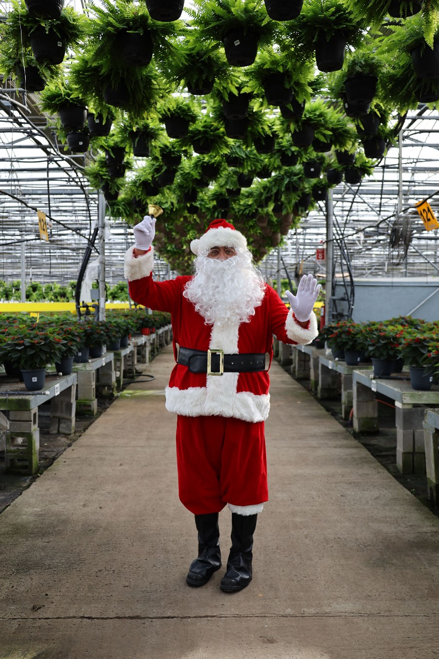 Les Serres Cléroux à Laval célèbrent Noël