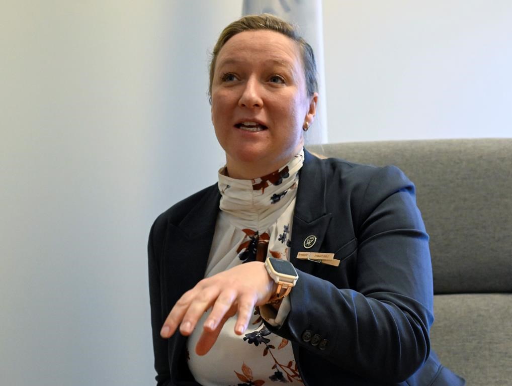Québec veut récolter une partie des 2 milliards d'arbres du fédéral pour l'industrie