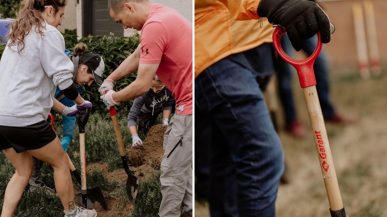 PlantAction reverdira Sainte-Rose et Vimont