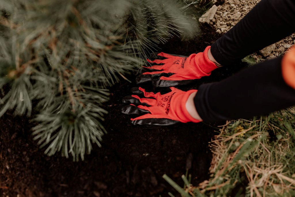 PlantAction reverdira Sainte-Rose et Vimont