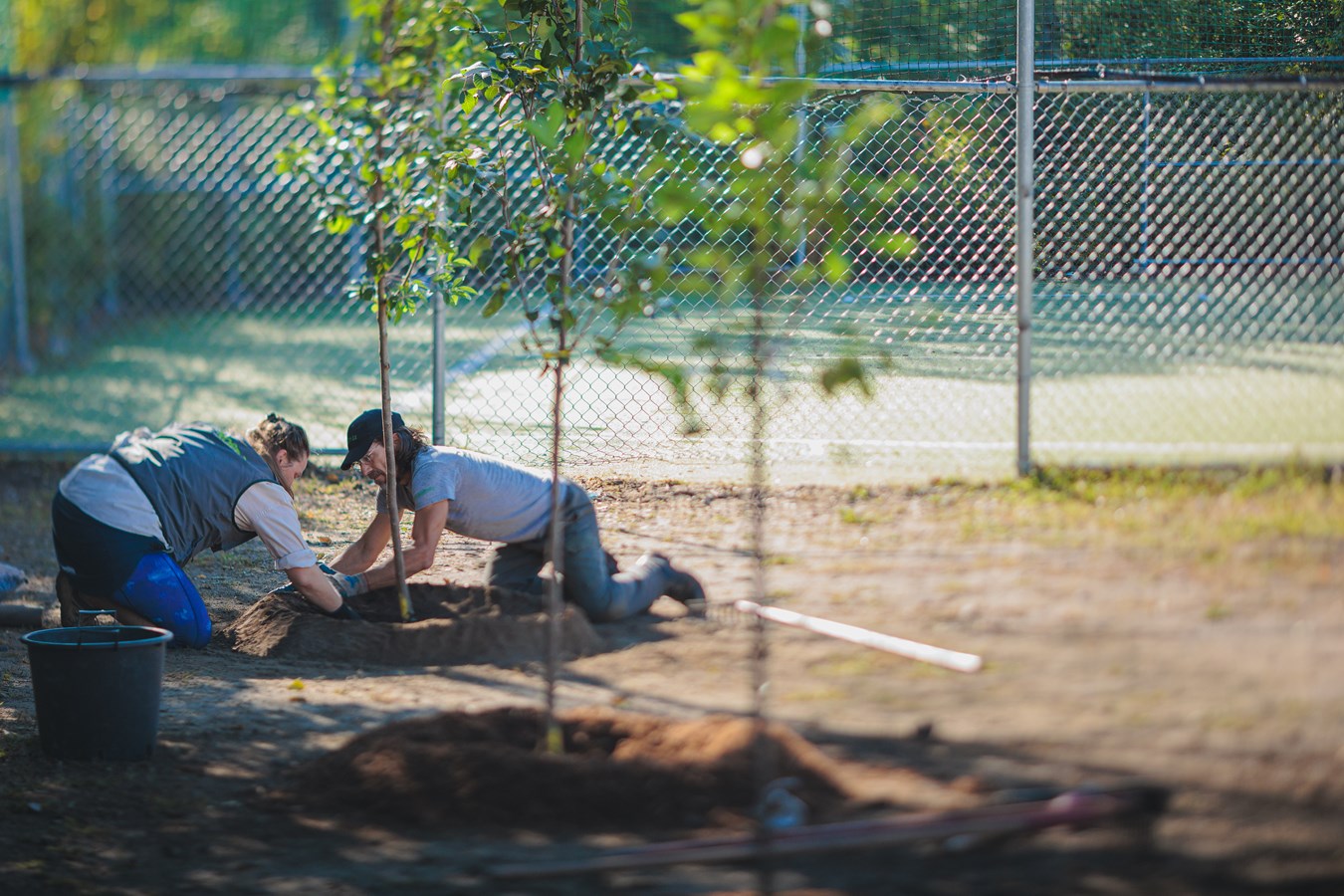 Laval s’unit à des partenaires locaux pour la plantation d’arbres