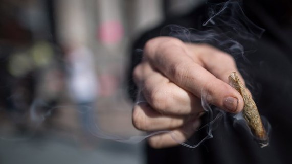 Un nouveau test pour détecter le cannabis peu après la consommation