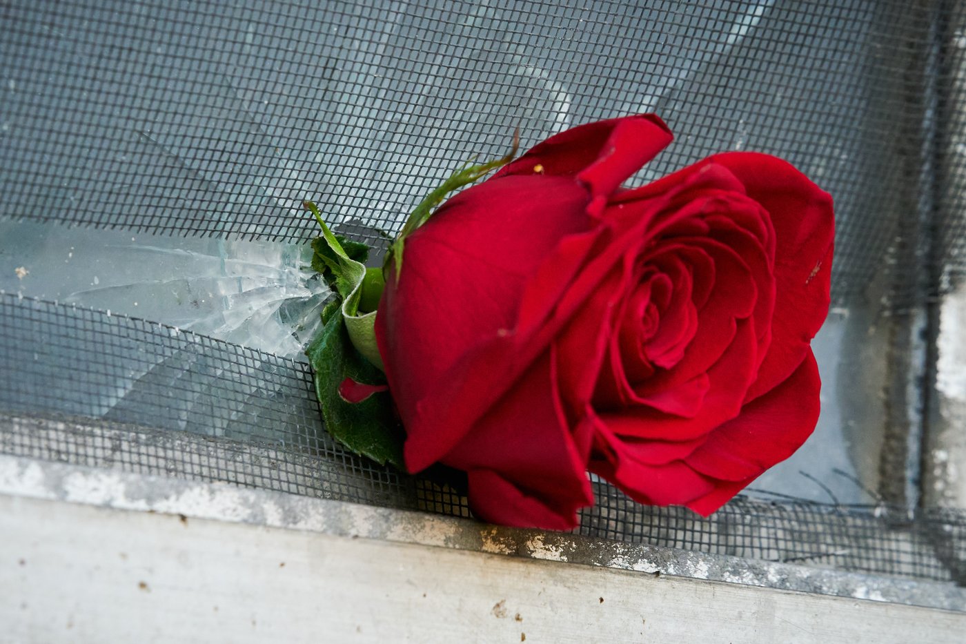 Galerie de photographies: l’actualité des sept derniers jours 