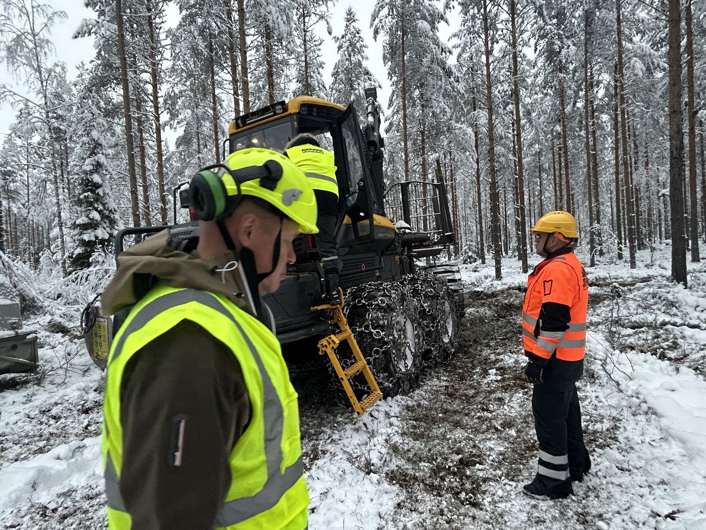 Finlande: des produits innovants tirés du bois pour inspirer le Québec