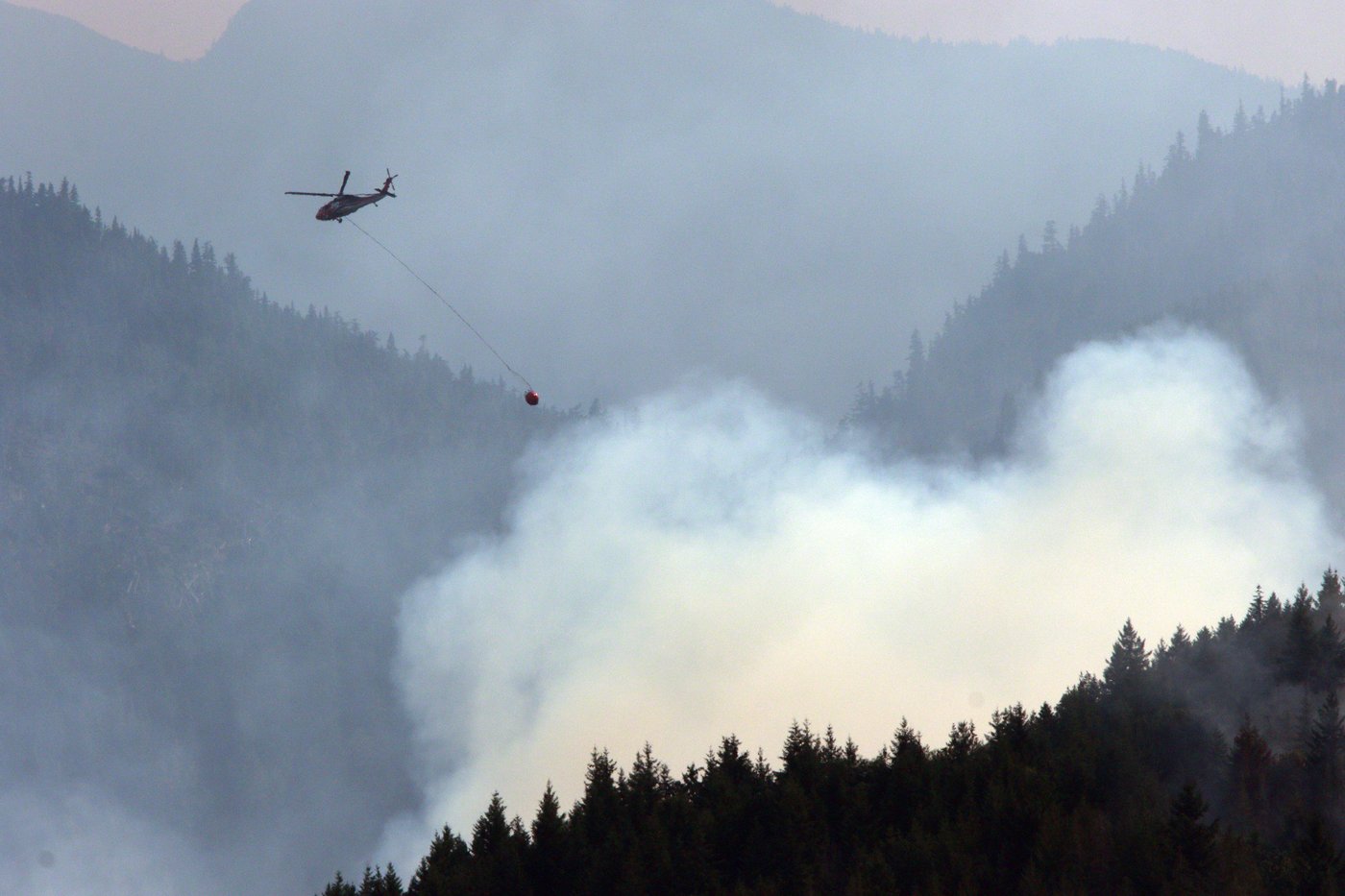 Les particules PM2,5 provoqueraient une réponse immunitaire