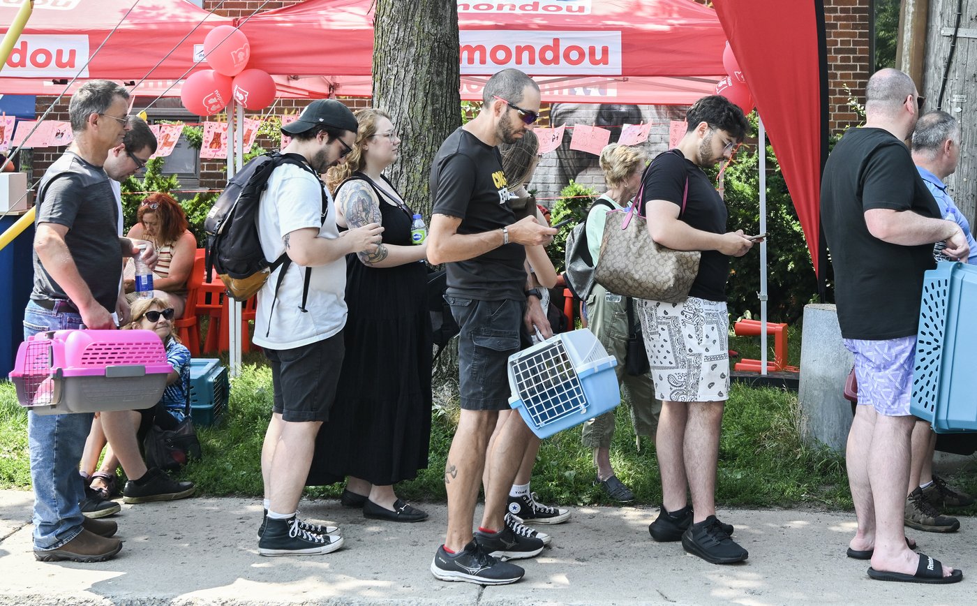 La décision du TAL d'autoriser les animaux dans un logement est portée en appel