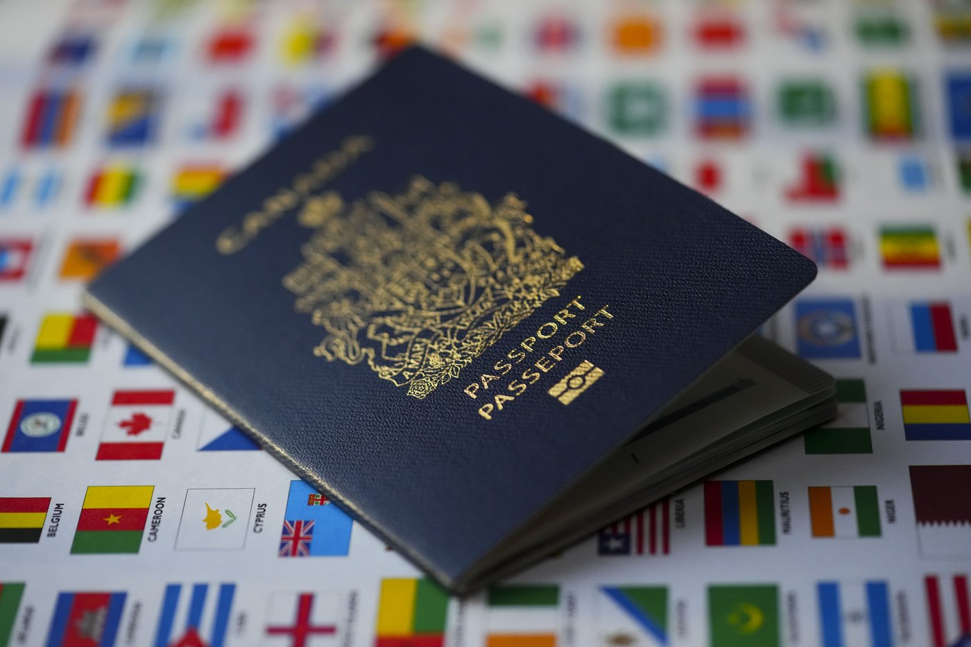 L'immigration pourrait devenir le seul moteur de croissance démographique au pays