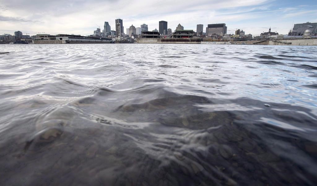 Des Villes demandent à Ottawa de légiférer contre les PFAS et les microfibres