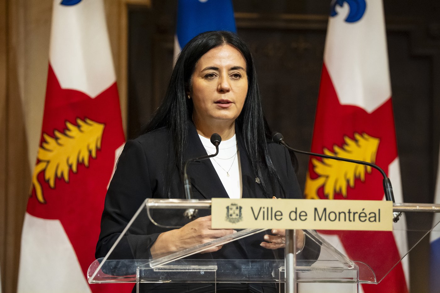 Les maires des grandes villes appellent à agir face à l’itinérance