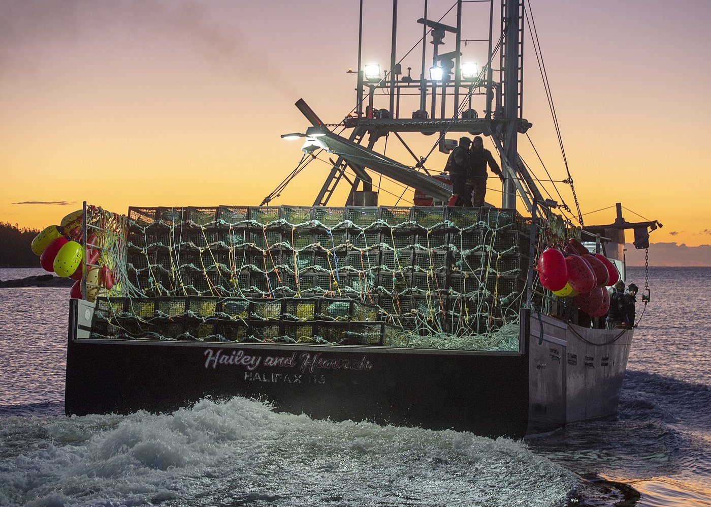 Les agents des pêches de Nouvelle-Écosse saisissent plus de 1000 casiers à homards