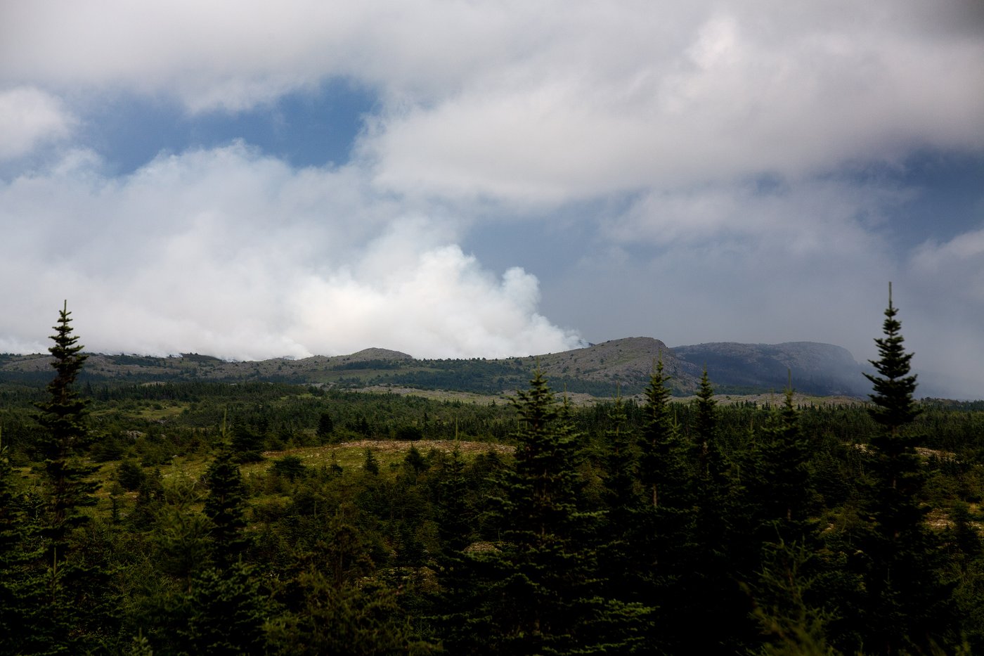 Feux de forêt: Terre-Neuve-et-Labrador constate les dégâts