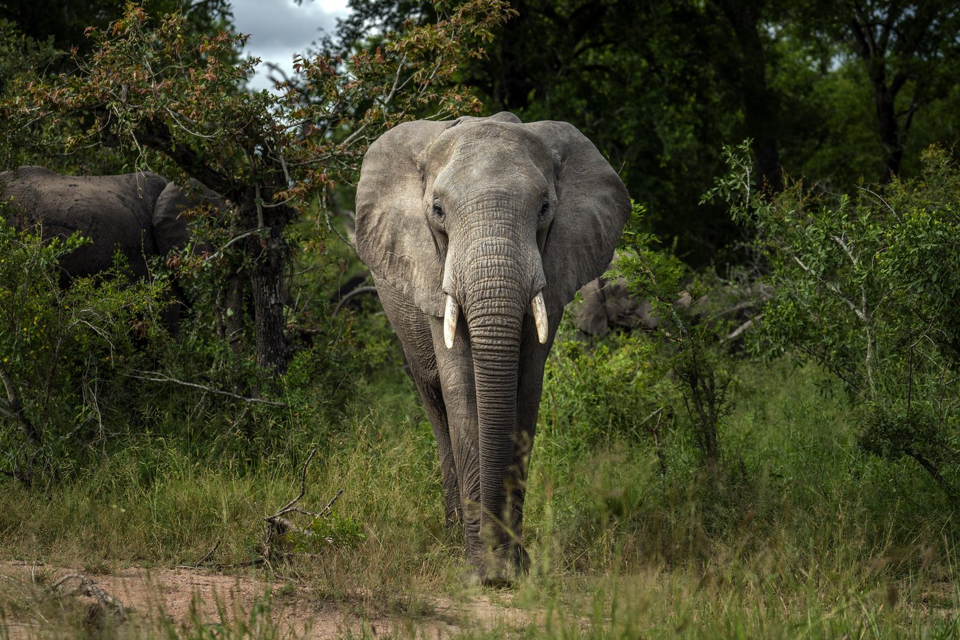 Un ami du Canadien tué en Afrique du Sud contredit la version des autorités locales