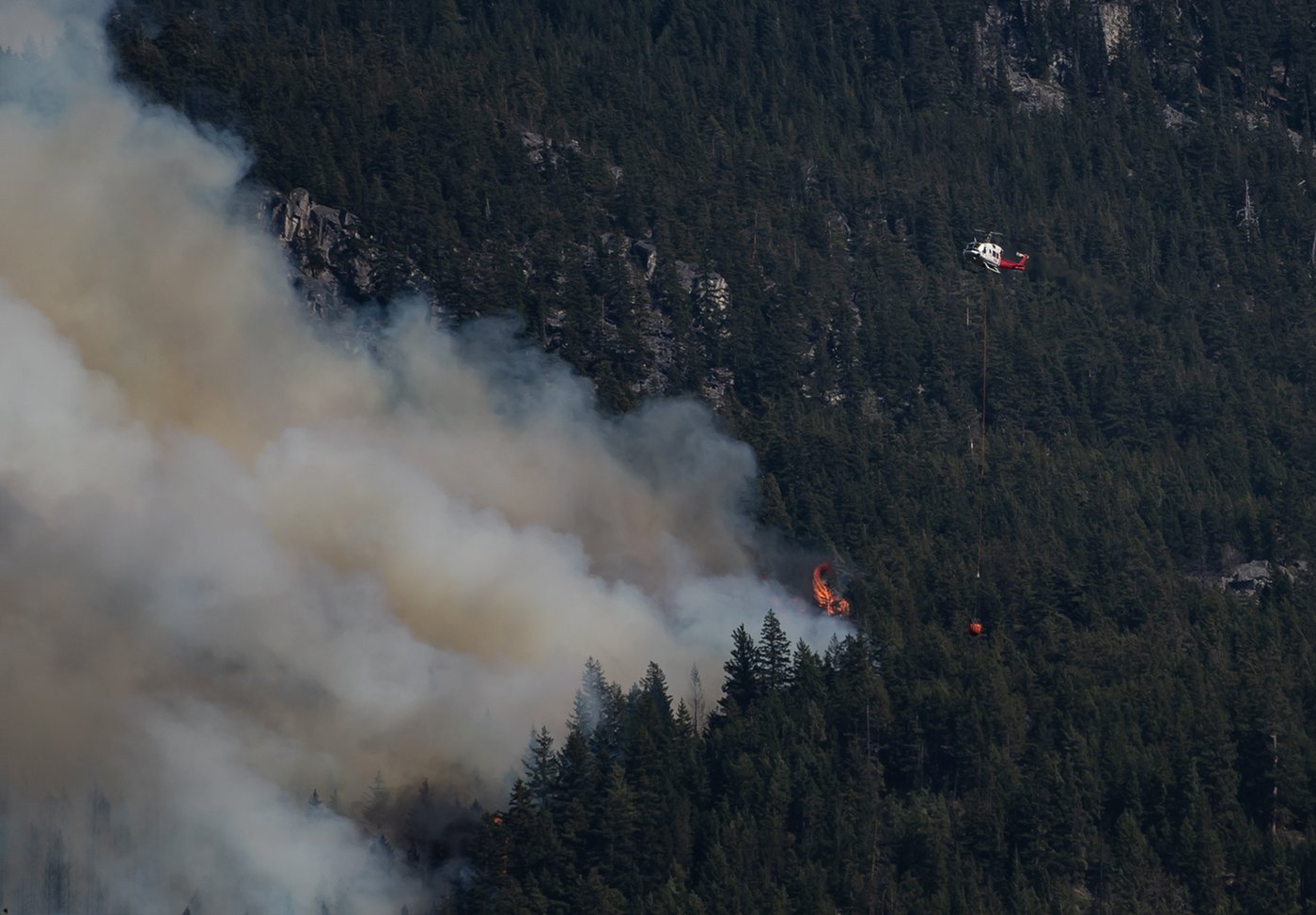 La moitié des 120 feux de forêt actifs en C.-B. ont commencé dans les dernières 24 h
