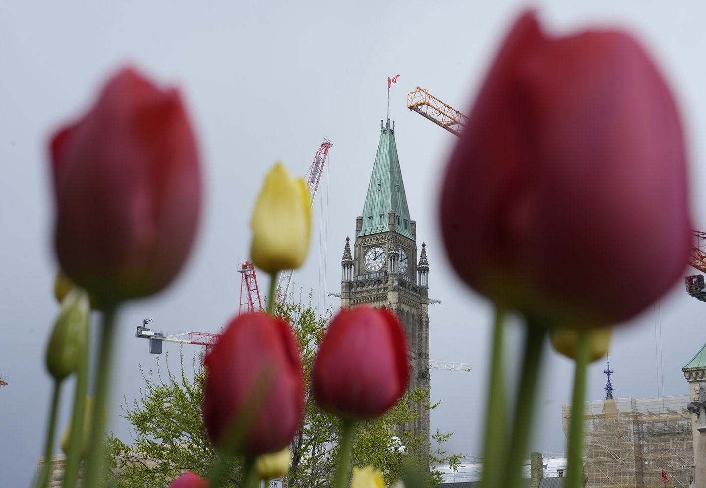 La loi sur la frontière va faire l'objet d'un recours constitutionnel