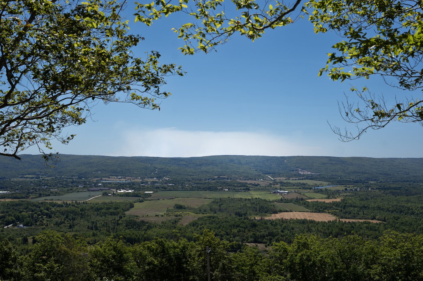 La Cour juge que l'interdiction d'accéder aux forêts de la N.-É. était déraisonnable