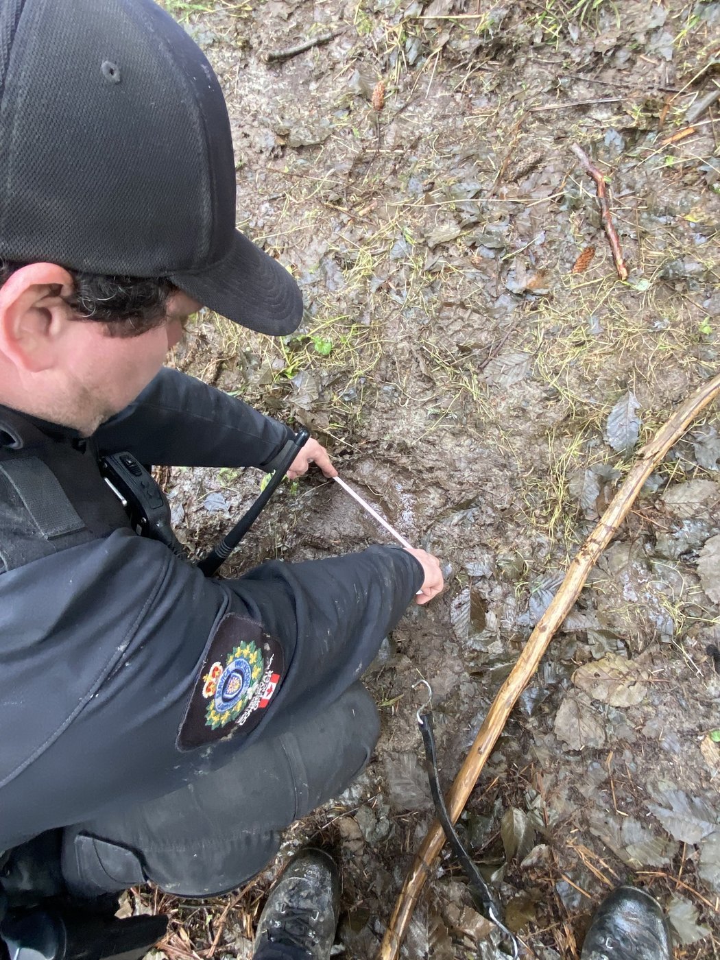 Fin des recherches pour trouver l'ours impliqué dans une attaque en C.-B.
