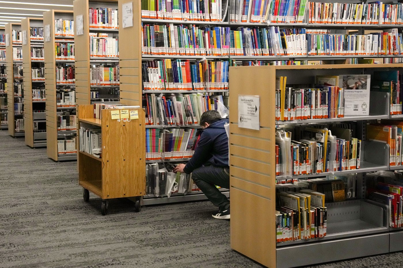 Contenu sexuel: nouvelles règles à venir dans les bibliothèques de l'Alberta