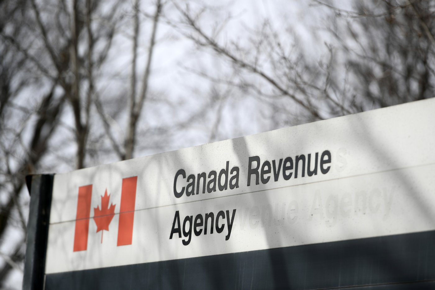 Le Canada a émis 2 milliards $ en chèques fédéraux qui n'ont pas été encaissés