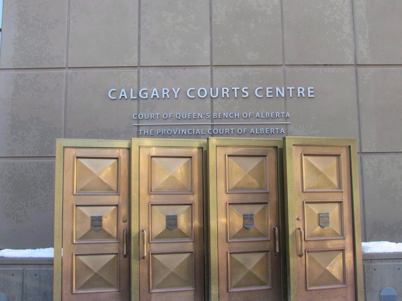 Alerte: un homme de Calgary ayant joint Daech est condamné à 16 ans de prison