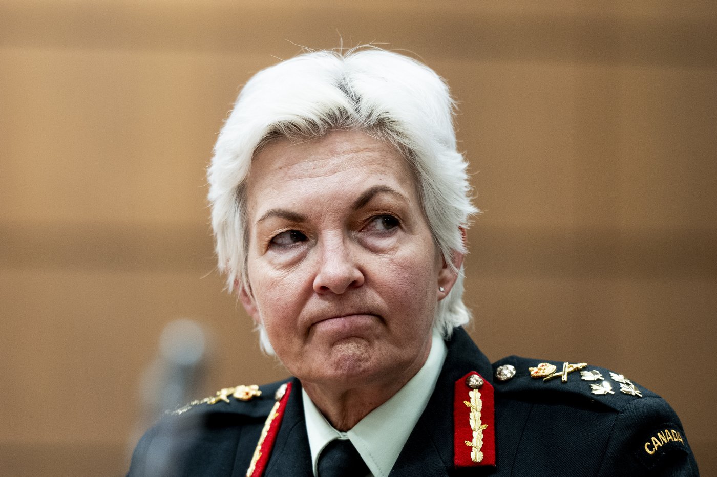 Le ministère de l'Immigration aide l'armée à recruter des militaires étrangers