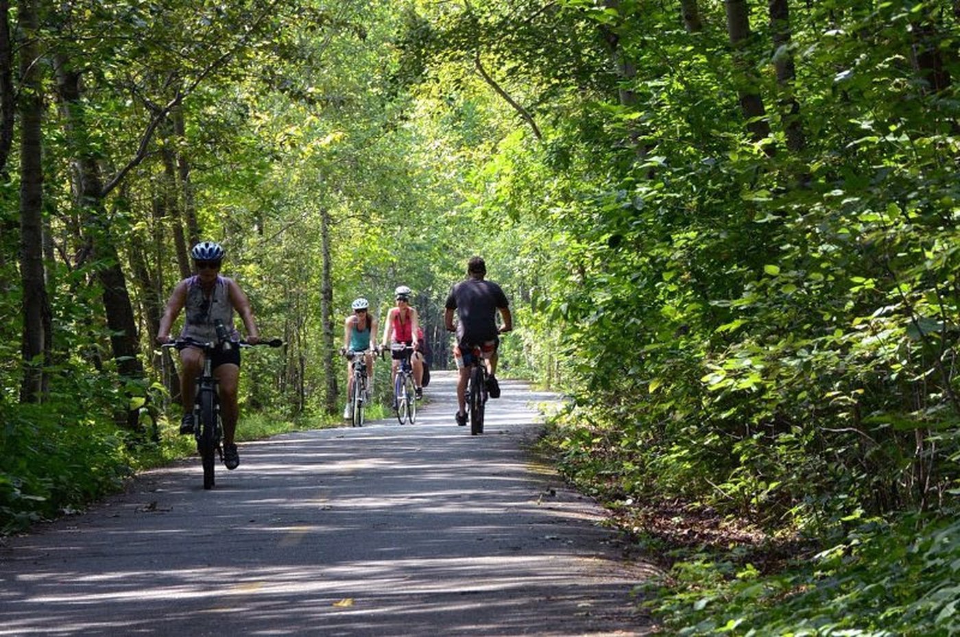 À Victoriaville, les citoyens paient des frais en fonction de la quantité d'arbres