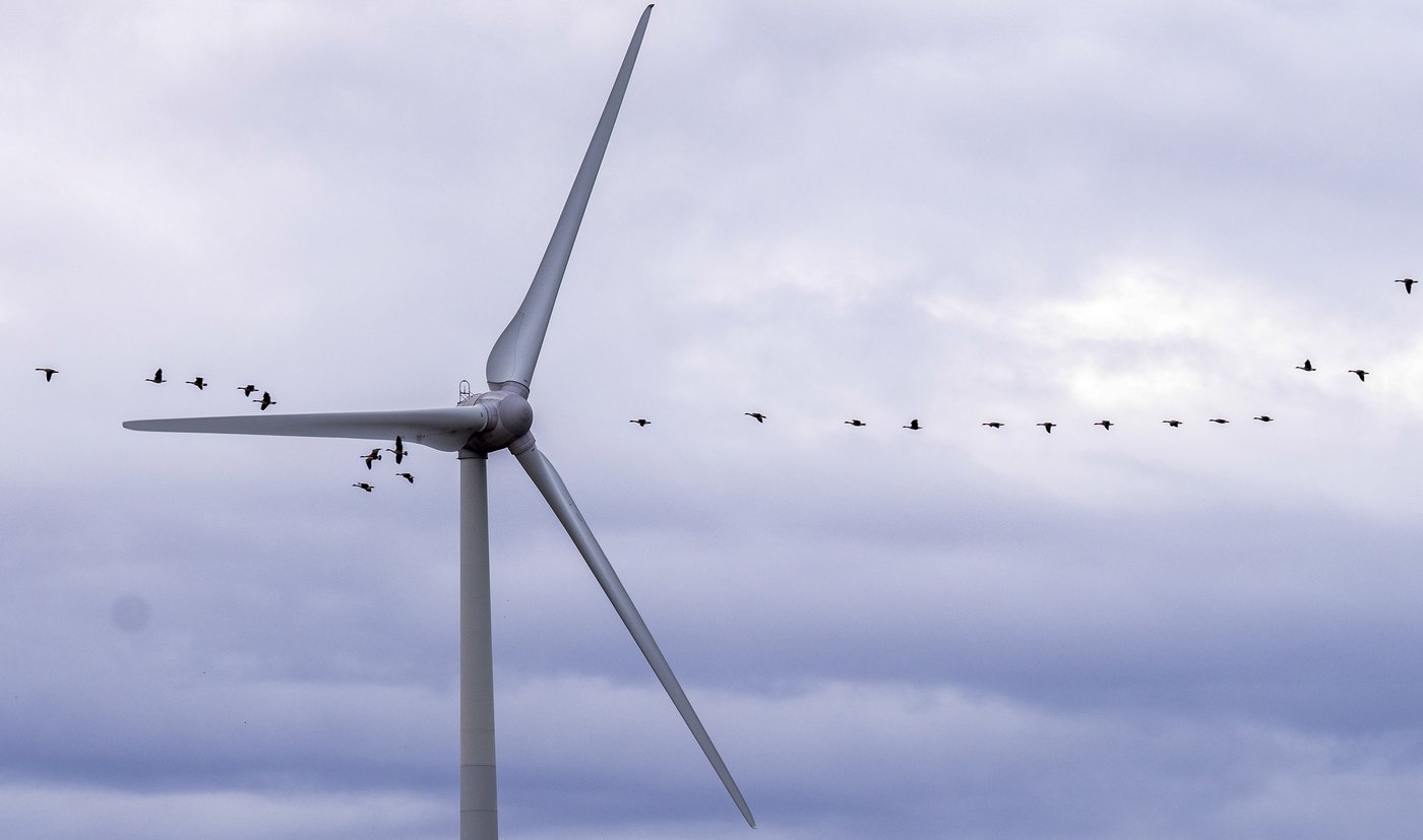 Hydro-Québec lancera un nouvel appel d'offres pour des projets d'énergie éolienne