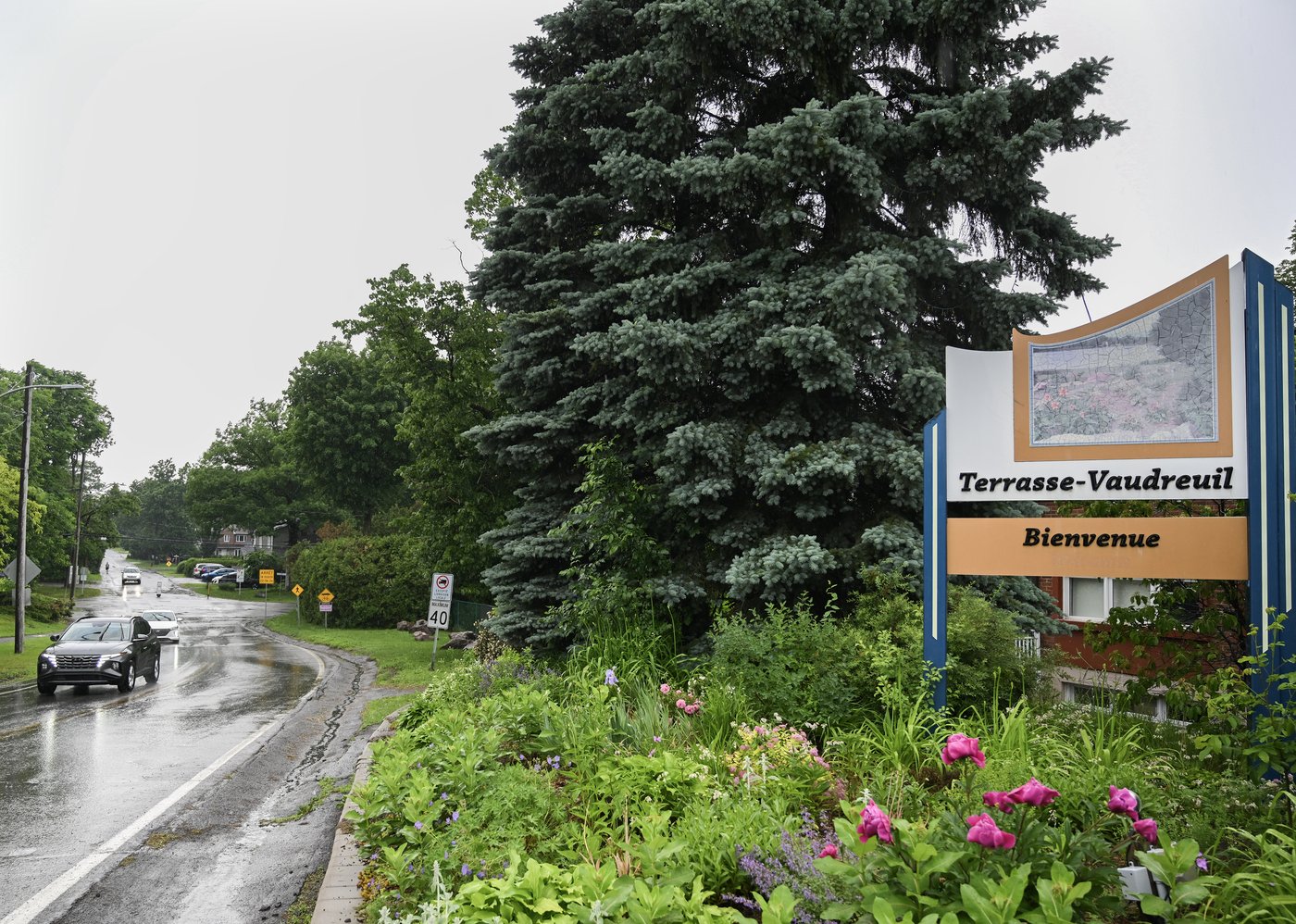 La ville de Terrasse-Vaudreuil reconnaît des droits aux arbres