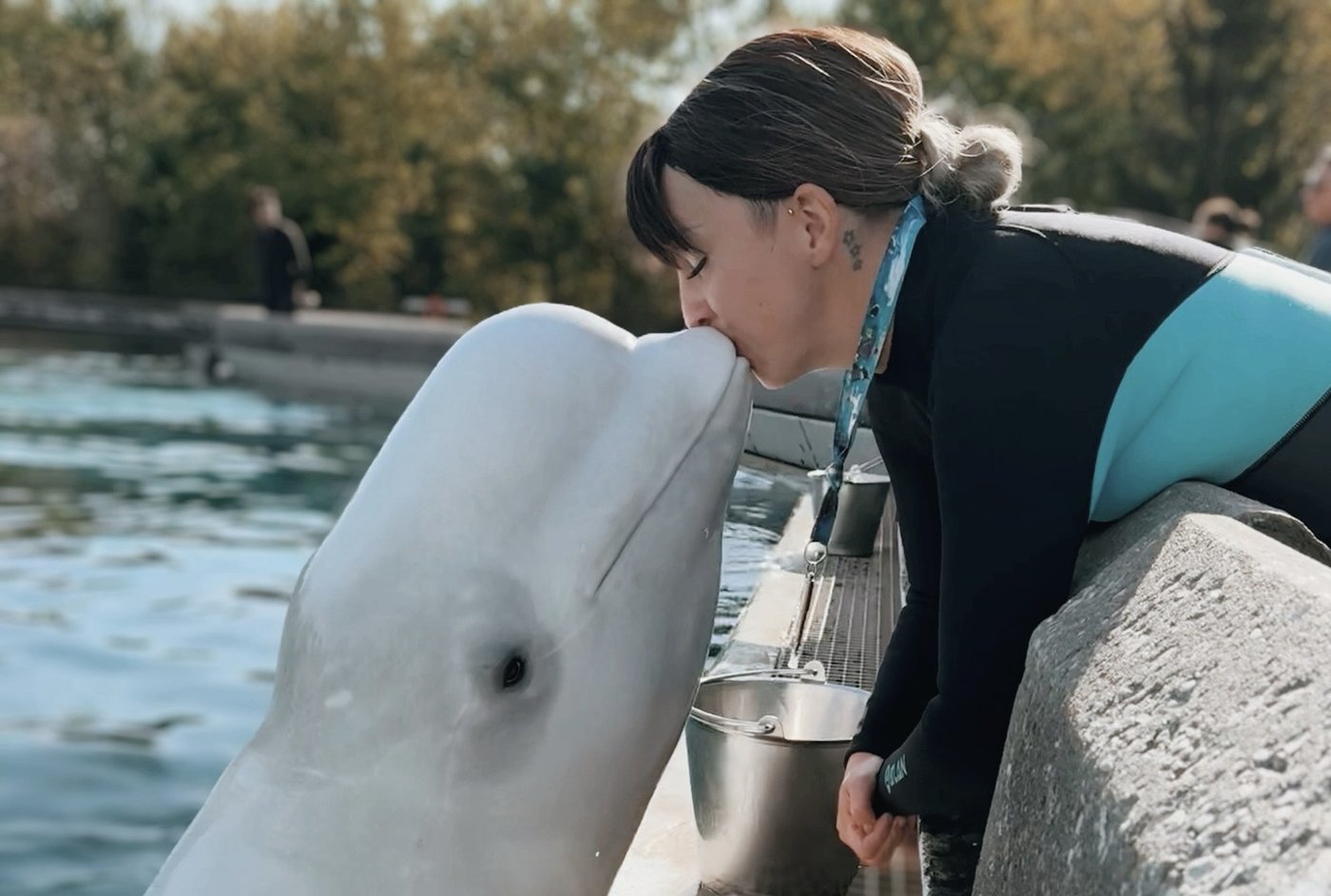 «Il faut les sortir de là», lance une ancienne entraîneuse de bélugas à Marineland