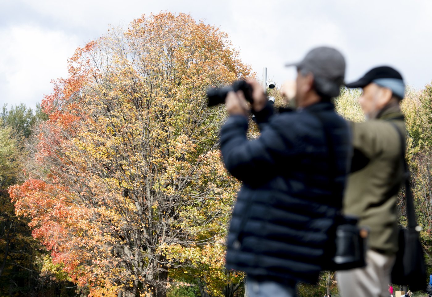 Un automne doux prévu partout au pays